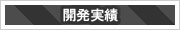 開発実績