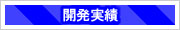 開発実績